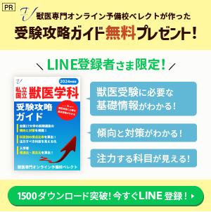 ベレクトが作った受験攻略ガイド無料プレゼント